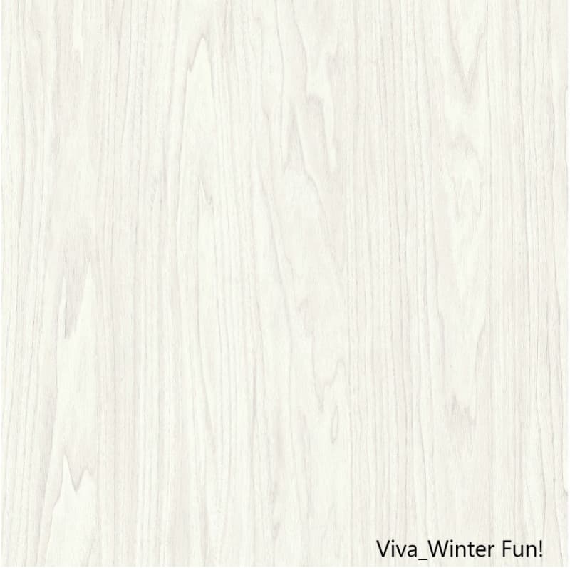 Viva_Winter-Fun